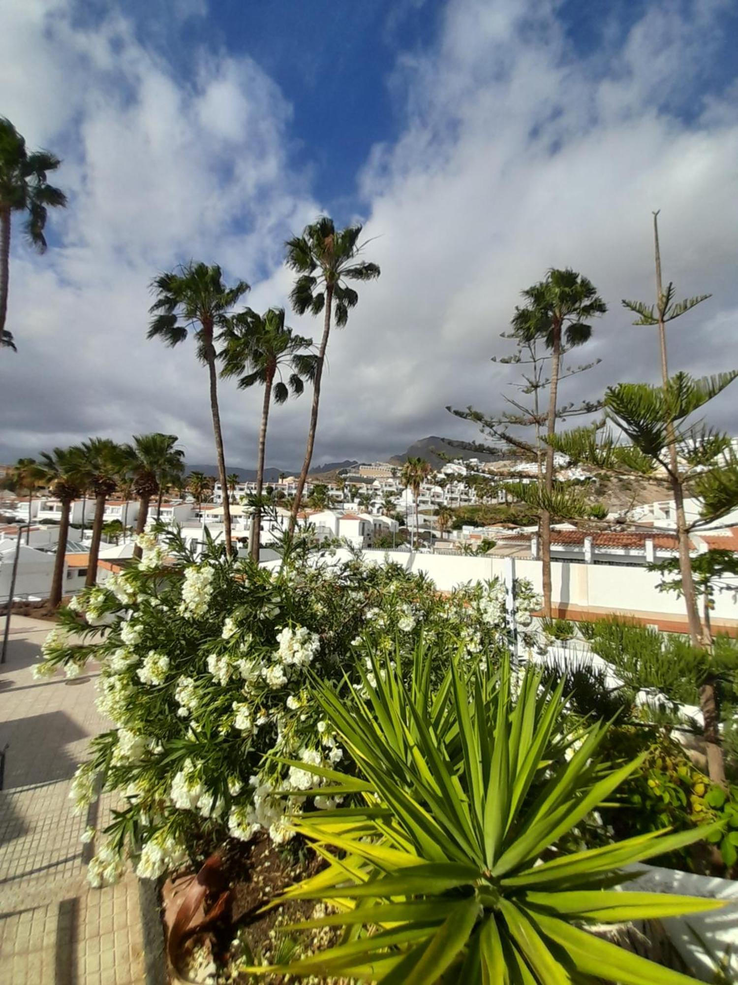 Apartments Island Village Heights أذيخي المظهر الخارجي الصورة